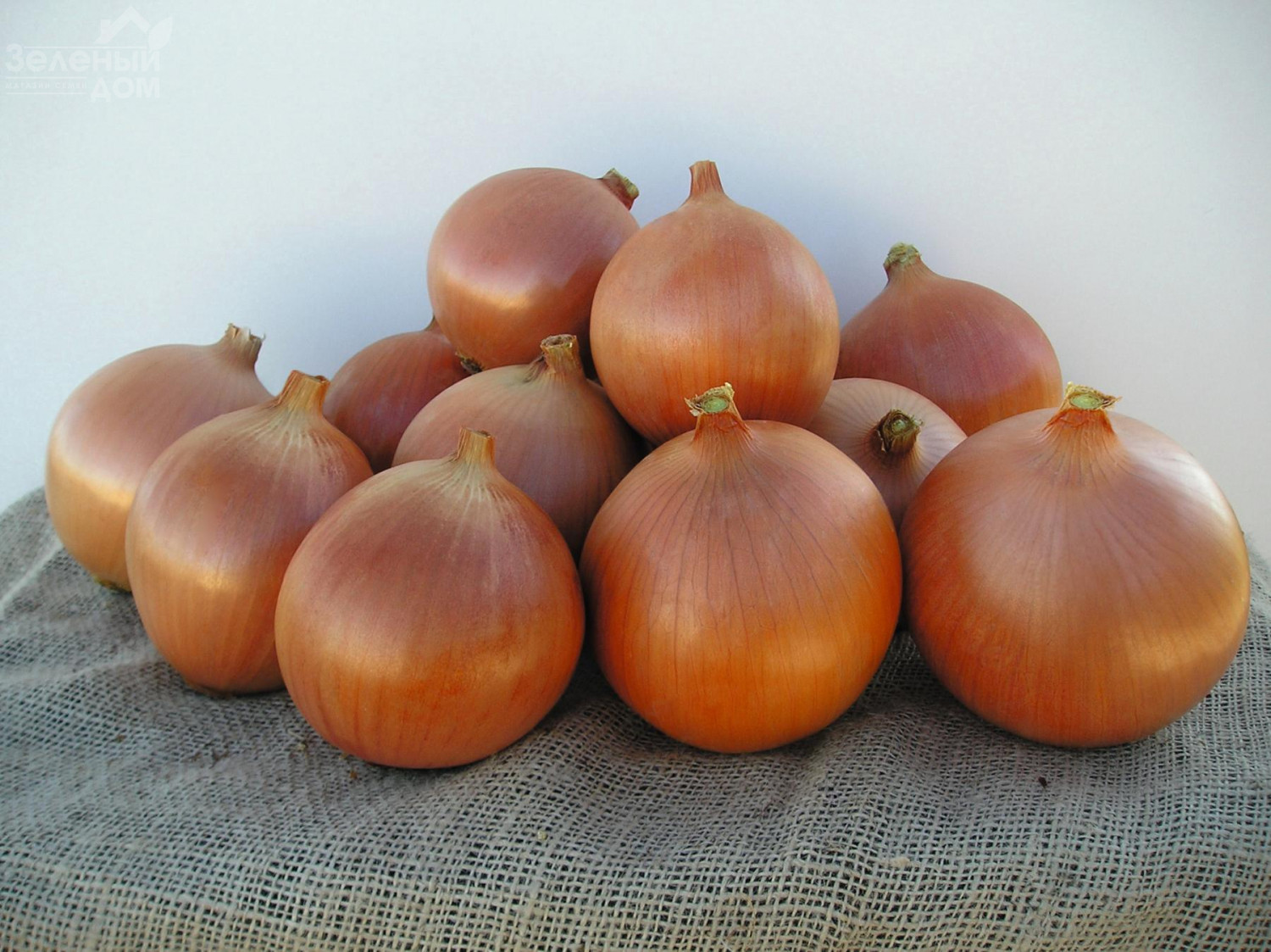 Купить Хорошие Семена Лука