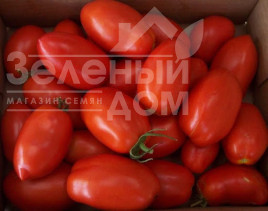 Насіння томатів Ред Скай F1 / Red Sky F1,100-110 днів Насіння томатів Ред Скай F1 / Red Sky F1,100-110 днів купити оптом і в роздріб в Україні за вигідною ціною