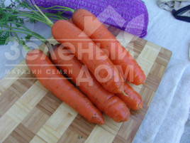 Насіння моркви Кортіна F1 / Kortina F1,150-160 днів Насіння моркви Кортіна F1 / Kortina F1,150-160 днів купити оптом і в роздріб в Україні за вигідною ціною