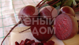 Насіння буряка Бона / Bona,115-120 днів Насіння буряка Бона / Bona,115-120 днів купити оптом і в роздріб в Україні за вигідною ціною