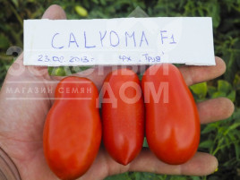 Насіння томатів Калрома F1 / Calroma F1,100 днів Насіння томатів Калрома F1 / Calroma F1,100 днів купити оптом і в роздріб в Україні за вигідною ціною
