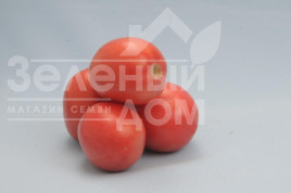 Насіння томатів Камелот (LS 1264)  F1 / Kamelot (LS 1264)  F1,100 - 110 днів Насіння томатів Камелот (LS 1264)  F1 / Kamelot (LS 1264)  F1,100 - 110 днів купити оптом і в роздріб в Україні за вигідною ціною
