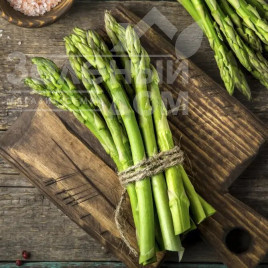 Насіння спаржі Аспарагус UG 157 F1 / Asparagus UG 157 F1 Насіння спаржі Аспарагус UG 157 F1 / Asparagus UG 157 F1 купити оптом і в роздріб в Україні за вигідною ціною