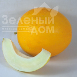 Насіння дині Шинарі (КС 7066) F1 / Shinary (KS 7066) F1,75-80 днів Насіння дині Шинарі (КС 7066) F1 / Shinary (KS 7066) F1,75-80 днів купити оптом і в роздріб в Україні за вигідною ціною