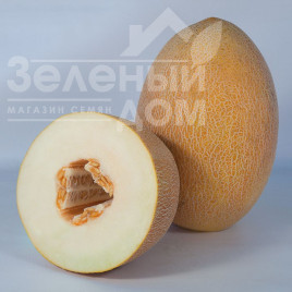 Насіння дині Кубус (КС 6188) F1 / Kubus (KS 6188) F1,75-80 днів Насіння дині Кубус (КС 6188) F1 / Kubus (KS 6188) F1,75-80 днів купити оптом і в роздріб в Україні за вигідною ціною