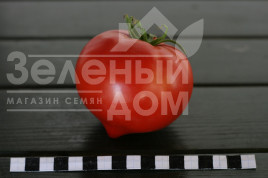 Насіння томатів Амадін F1  / Amadin F1 Насіння томатів Амадін F1  / Amadin F1 купити оптом і в роздріб в Україні за вигідною ціною