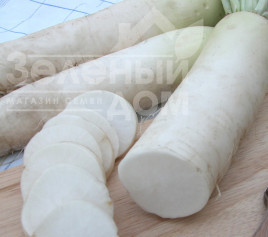 Насіння редьки Алабастер F1 / Alabaster F1,75-85 днів Насіння редьки Алабастер F1 / Alabaster F1,75-85 днів купити оптом і в роздріб в Україні за вигідною ціною