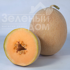 Насіння дині Трібека (КС 6147) F1 / Tribeka (KS 6147) F1,65-70 днів Насіння дині Трібека (КС 6147) F1 / Tribeka (KS 6147) F1,65-70 днів купити оптом і в роздріб в Україні за вигідною ціною