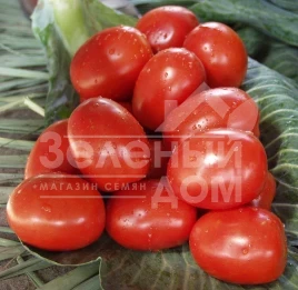 Семена томатов Рио Гранде / Rio Grande,100-110 дней (SEMO) купить оптом и в розницу в Украине по выгодной цене