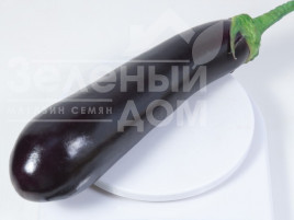 Насіння баклажанів КС 4804 F1 / KS 4804 F1,90-100 днів купити оптом і в роздріб в Україні за вигідною ціною