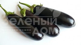 Насіння баклажанів Мірінда F1 / Mirinda F1, 80 днів Насіння баклажанів Мірінда F1 / Mirinda F1, 80 днів купити оптом і в роздріб в Україні за вигідною ціною