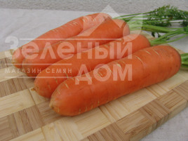 Насіння моркви Берліка F1 / Berlika F1,105-110 днів Насіння моркви Берліка F1 / Berlika F1,105-110 днів купити оптом і в роздріб в Україні за вигідною ціною