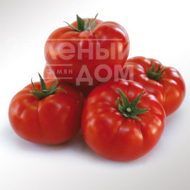 Насіння томатів КС 206 F1 / KS 206 F1 Насіння томатів КС 206 F1 / KS 206 F1 купити оптом і в роздріб в Україні за вигідною ціною