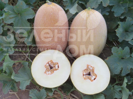 Насіння дині Емі (INX 1037) F1 / Amy (INX 1037) F1,75 днів Насіння дині Емі (INX 1037) F1 / Amy (INX 1037) F1,75 днів купити оптом і в роздріб в Україні за вигідною ціною