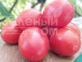 Насіння томатів Джолі F1 / Jolly F1, 70-75 днів Насіння томатів Джолі F1 / Jolly F1, 70-75 днів купити оптом і в роздріб в Україні за вигідною ціною