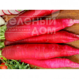 Насіння редьки Карміна / Karmina,40-50 днів Насіння редьки Карміна / Karmina,40-50 днів купити оптом і в роздріб в Україні за вигідною ціною
