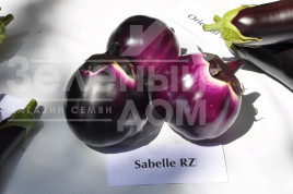 Насіння баклажанів Сабелле F1 / Sabelle F1,68-72 дні Насіння баклажанів Сабелле F1 / Sabelle F1,68-72 дні купити оптом і в роздріб в Україні за вигідною ціною