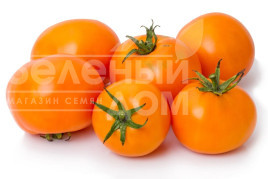 Насіння томатів Оранж / Orange,100-110 днів Насіння томатів Оранж / Orange,100-110 днів купити оптом і в роздріб в Україні за вигідною ціною