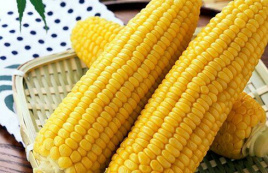 Насіння кукурудзи Лонга F1 / Longa F1 Насіння кукурудзи Лонга F1 / Longa F1 купити оптом і в роздріб в Україні за вигідною ціною
