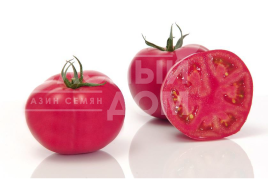 Насіння томатів Пінк Імпрешн F1 / Pink Impression F1,100-110 днів Насіння томатів Пінк Імпрешн F1 / Pink Impression F1,100-110 днів купити оптом і в роздріб в Україні за вигідною ціною