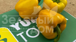 Насіння солодкого перцю Деніз F1 / Deniz F1,68-72 днів Насіння солодкого перцю Деніз F1 / Deniz F1,68-72 днів купити оптом і в роздріб в Україні за вигідною ціною