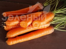 Семена моркови Беркос F1 / Berkos F1,120-125 дней Семена моркови Беркос F1 / Berkos F1,120-125 дней купить оптом и в розницу в Украине по выгодной цене