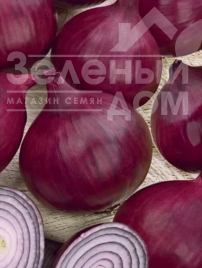 Цибуля ріпчаста Фіамма F1 / Fiamma F1 Цибуля ріпчаста Фіамма F1 / Fiamma F1 купити оптом і в роздріб в Україні за вигідною ціною