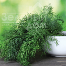 Насіння кропу Ділл / Dill Насіння кропу Ділл / Dill купити оптом і в роздріб в Україні за вигідною ціною
