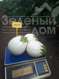 Насіння баклажанів ЦРХ 50189 F1 / CRX 50189 F1 Насіння баклажанів ЦРХ 50189 F1 / CRX 50189 F1 купити оптом і в роздріб в Україні за вигідною ціною