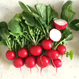 Насіння редису Чері Бел / Cherry Bell Насіння редису Чері Бел / Cherry Bell купити оптом і в роздріб в Україні за вигідною ціною
