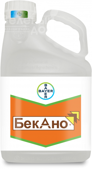 Бекано / Bekano фото 1