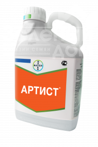 Артист / Artist фото 1